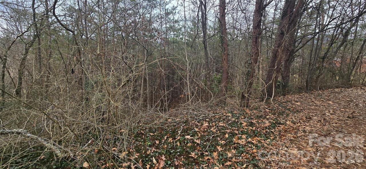 Lot 2 Kuykendall Ln., Canton, NC 28716