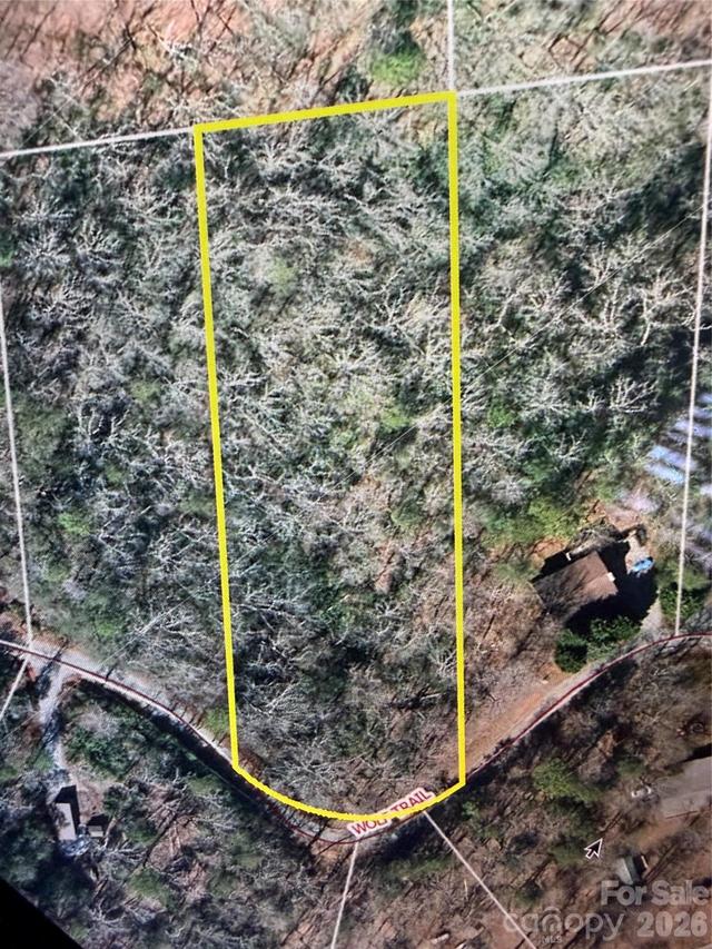 Wolf Tr. #030, Lake Lure, NC 28746