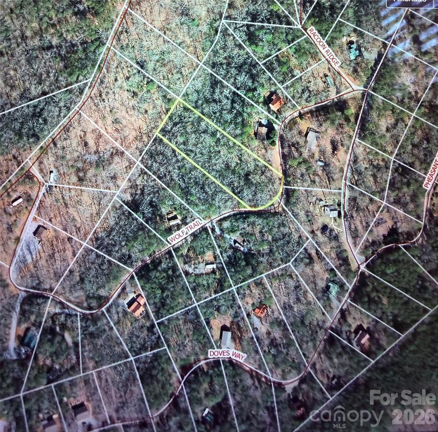 Wolf Tr. #030, Lake Lure, NC 28746