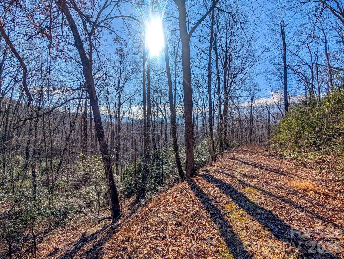 000 Halls Chapel Rd., Burnsville, NC 28714