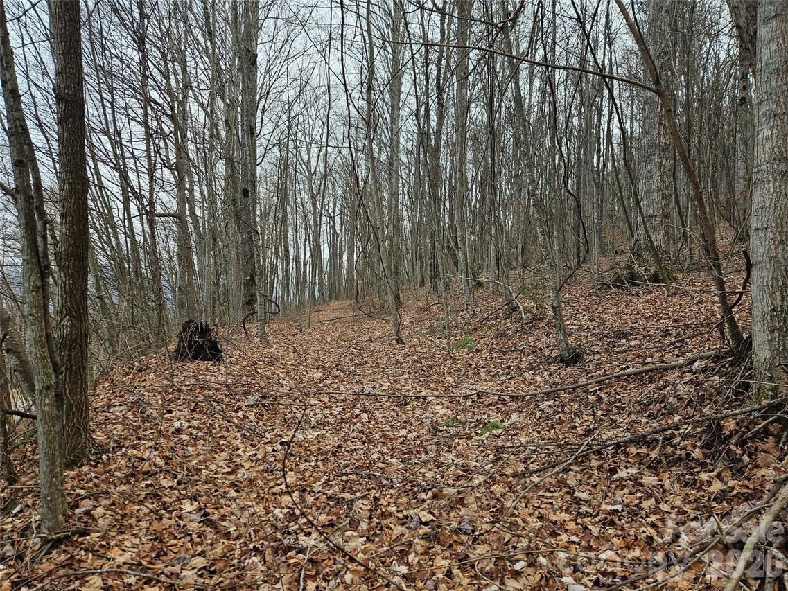 000 Slippery Rock Ln., Waynesville, NC 28785