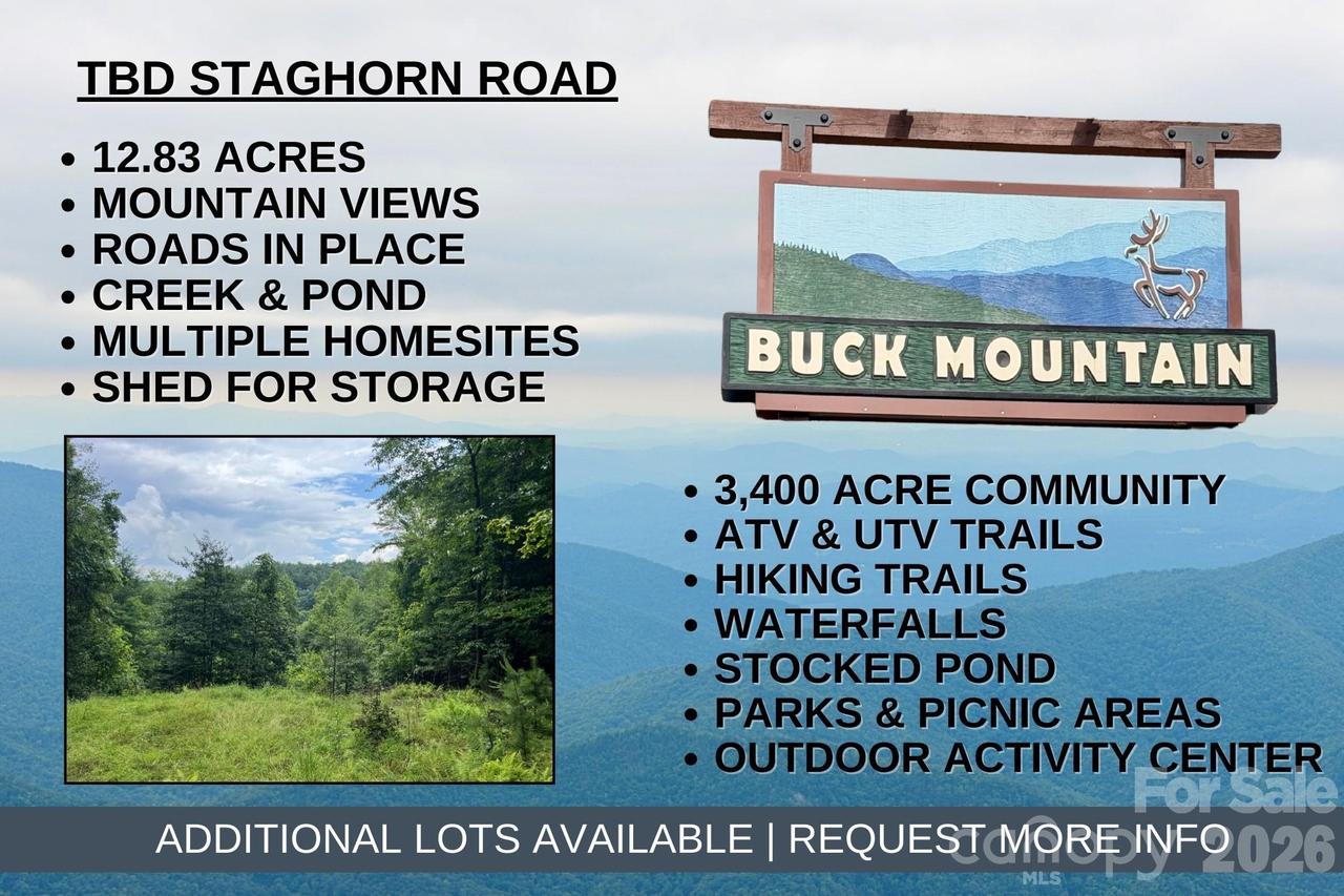 TBD Staghorn Rd., Purlear, NC 28665