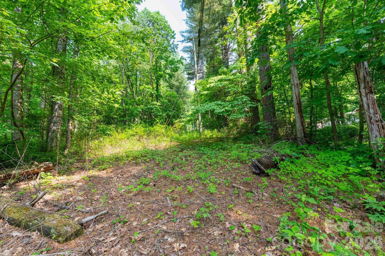 TBD Woodfin Rd., Sylva, NC 28779