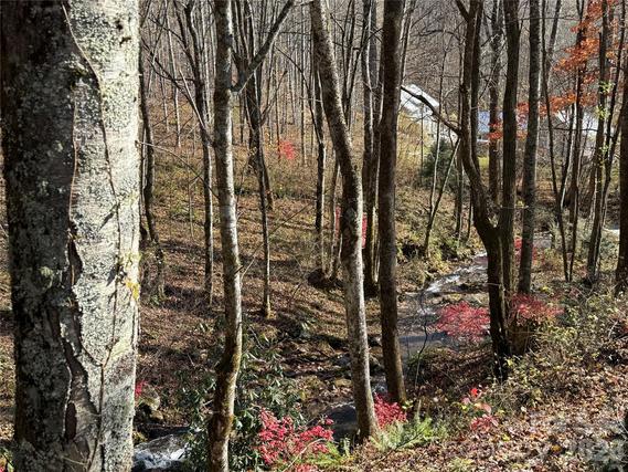 New Homes For Sale This Week That Attend Scotts Creek Elementary: January 30th to February 5th