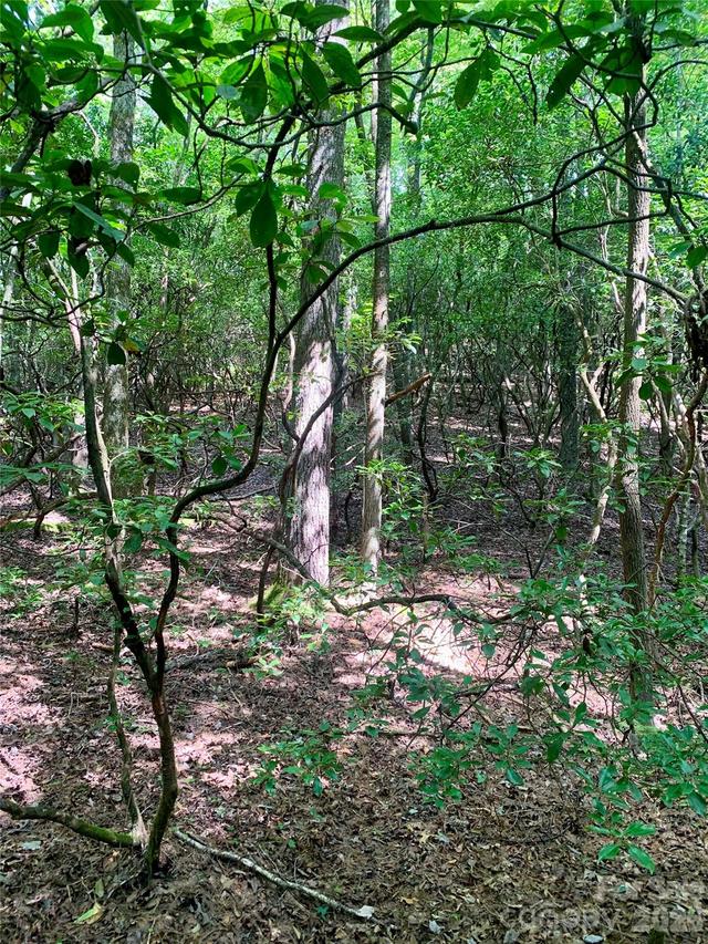 6 Double Creek Rd., Brevard, NC 28712