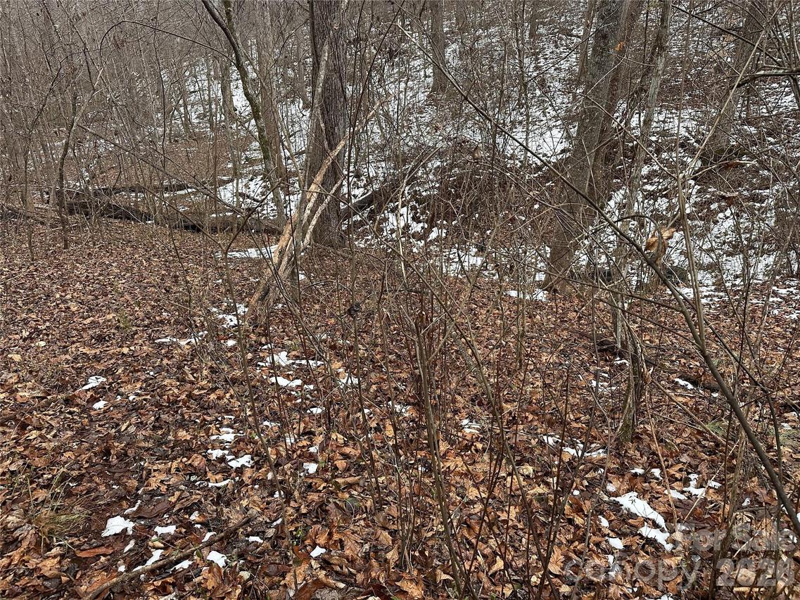 #167 Rolling Rd., Lincolnton, NC 28092