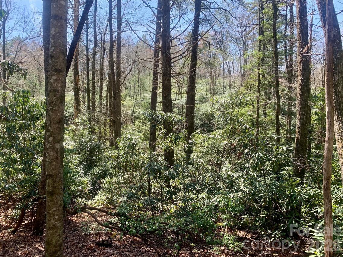 Lot 20A Indian Lake Rd. #20A, Lake Toxaway, NC 28747
