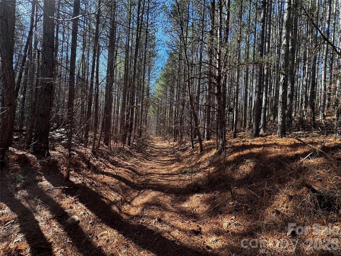 Painters Gap Rd., Union Mills, NC 28167