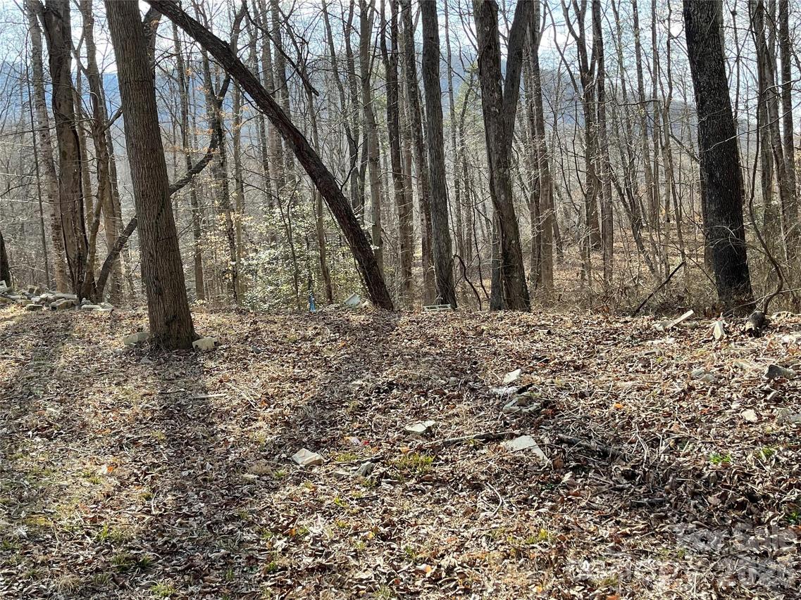 000 Max Metcalf Rd., Swannanoa, NC 28778