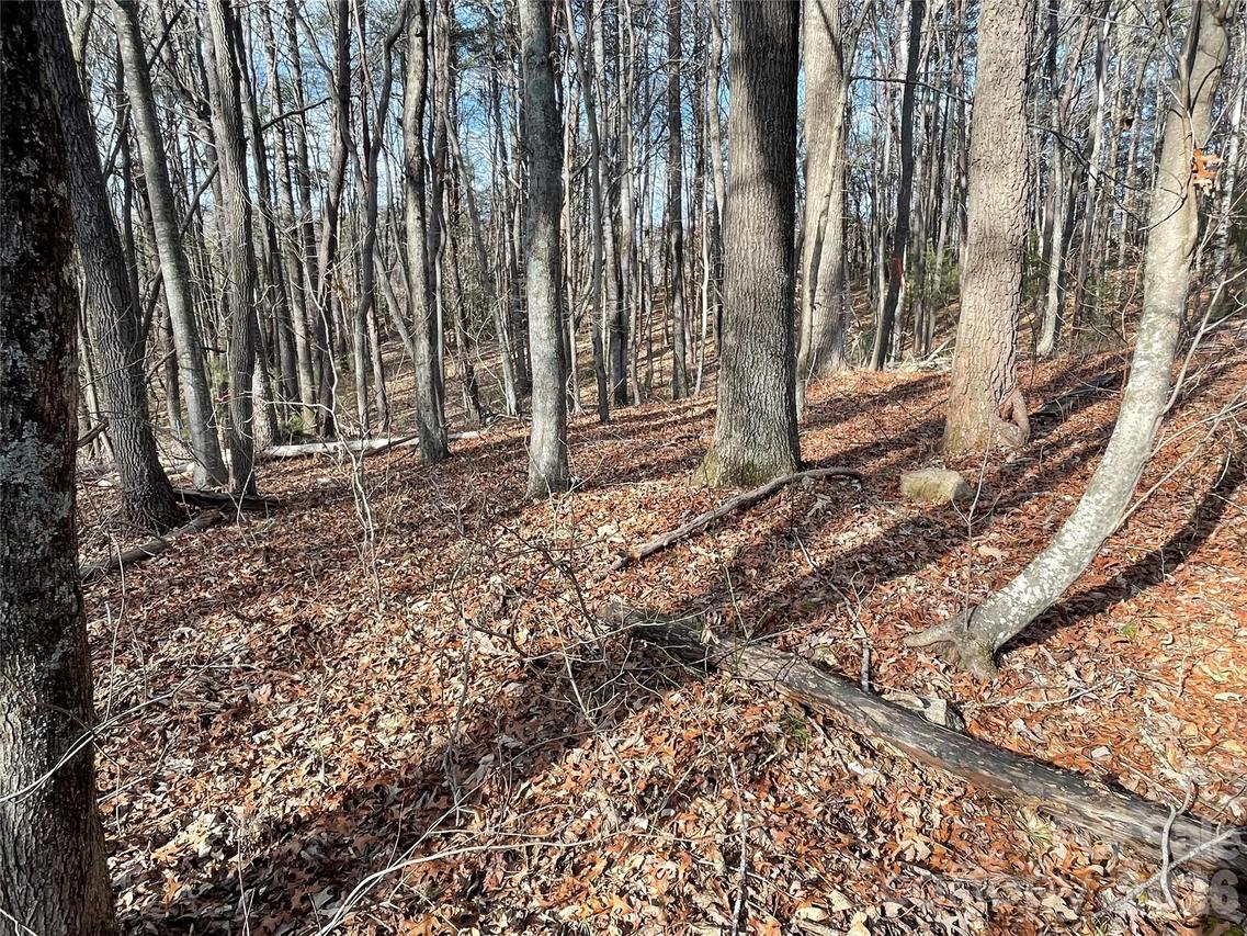 220 Max Metcalf Rd., Swannanoa, NC 28778