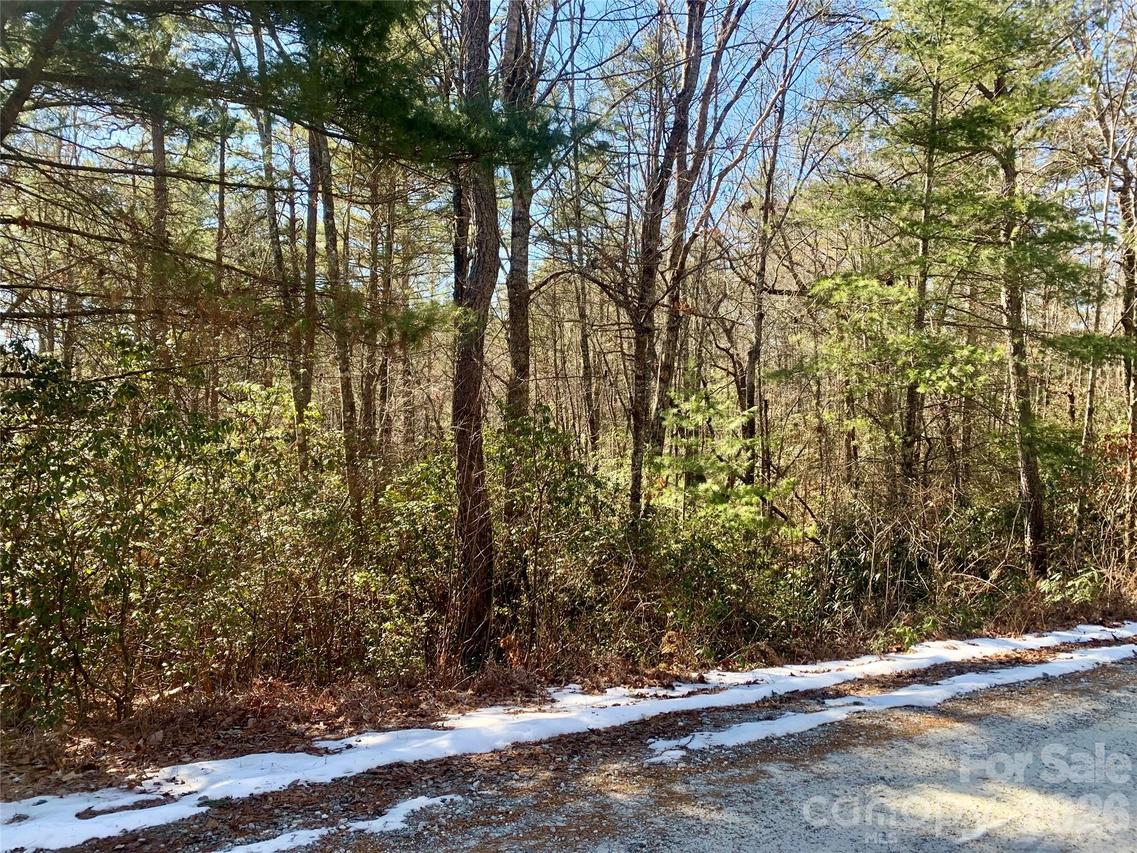 Lot 18 Oak Ridge Dr. #18, Brevard, NC 28712