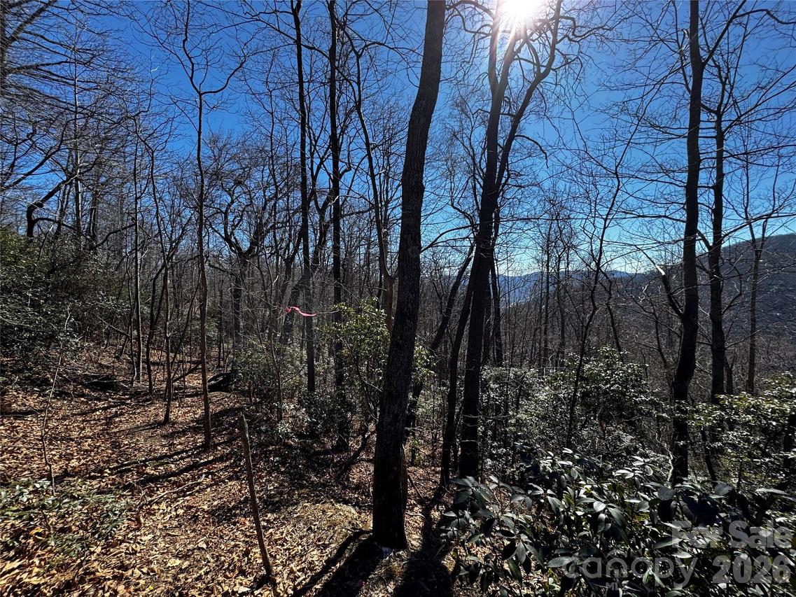 TBD Acacia Ct. #936, Black Mountain, NC 28711