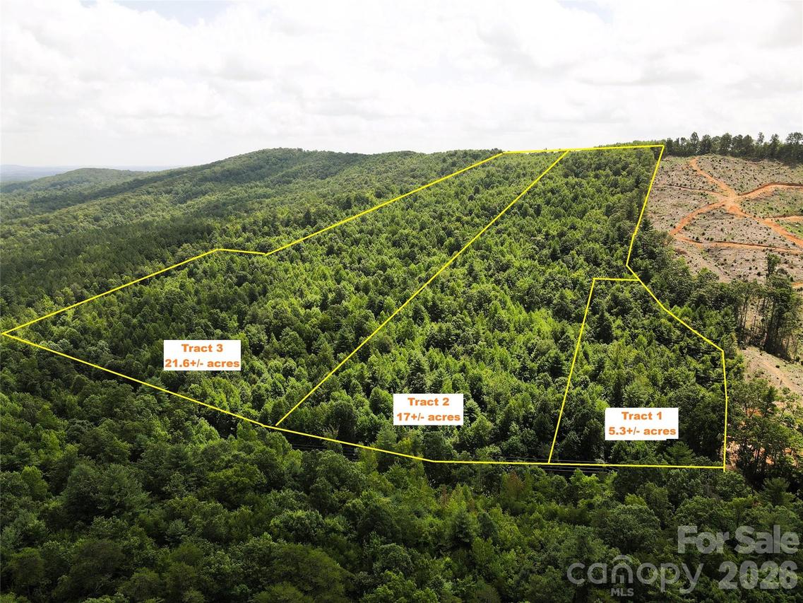 Lot 1 & 2 Mount Gilead Church Rd. #1, Connelly Springs, NC 28612