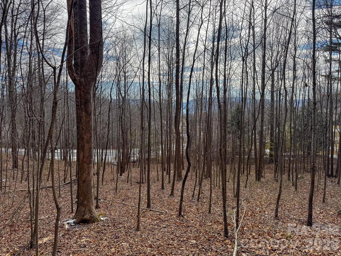 770 Somersby Pkwy., Hendersonville, NC 28739
