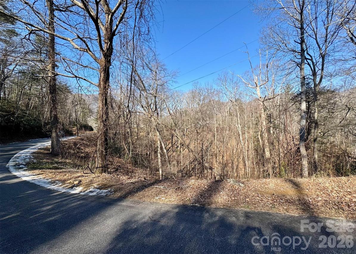 42 Asa Gray Dr., Lake Lure, NC 28720