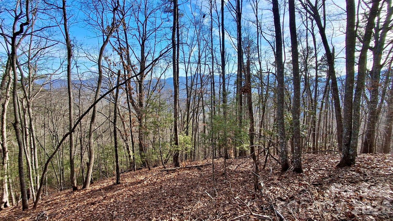 Briarwood Rd., Webster, NC 28788