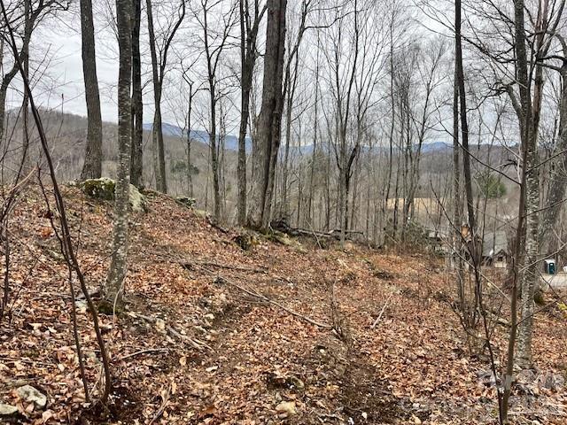 C-114 Spring Water Ln., Banner Elk, NC 28604