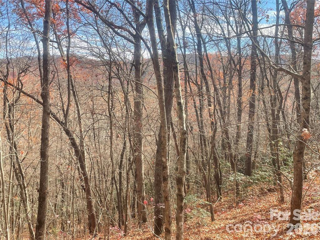 000 Yates Ave., Black Mountain, NC 28711