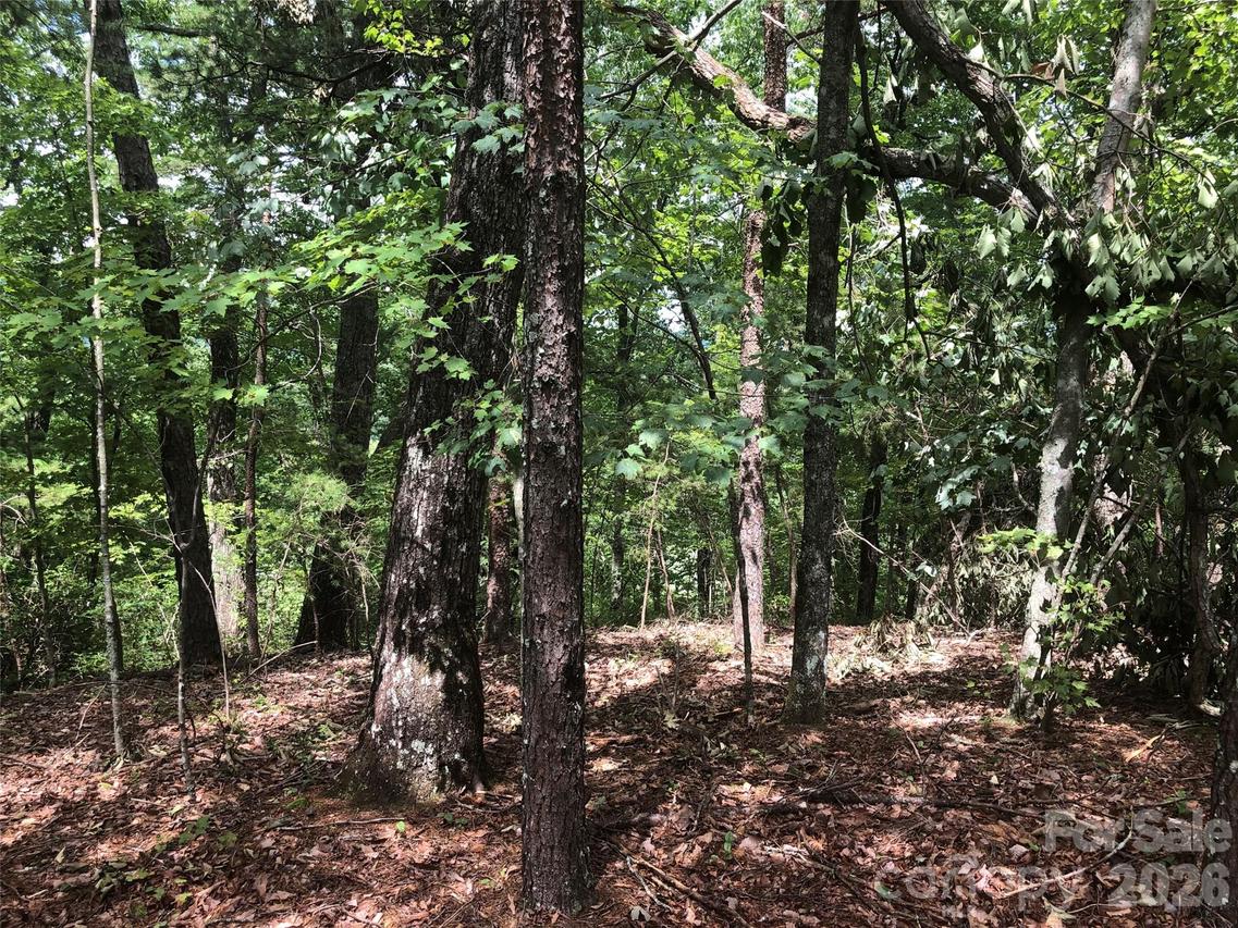 Buffalo Creek Rd. #Lot 35, Lake Lure, NC 28746