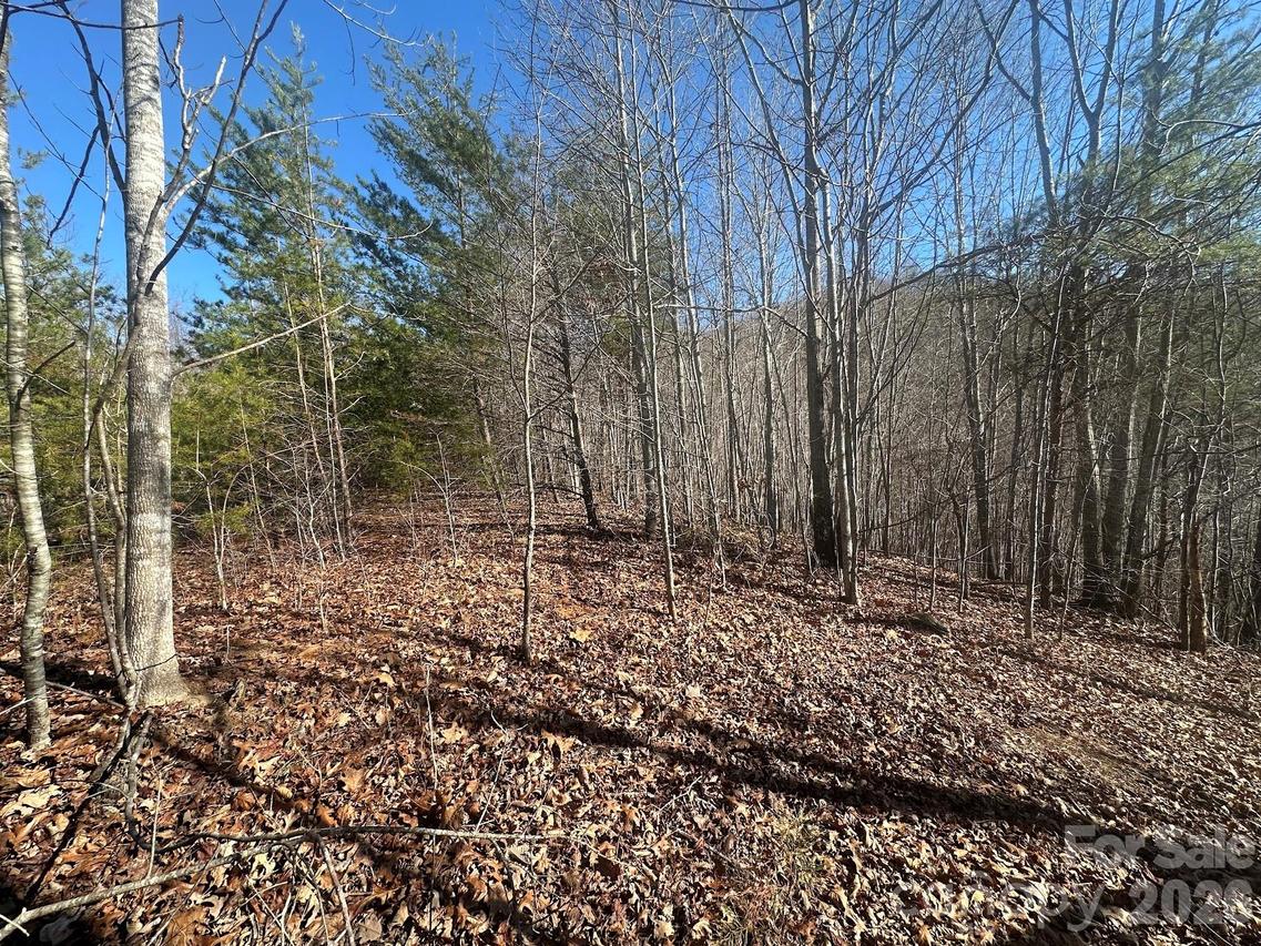 127 Robinwood Tr., Bostic, NC 28018