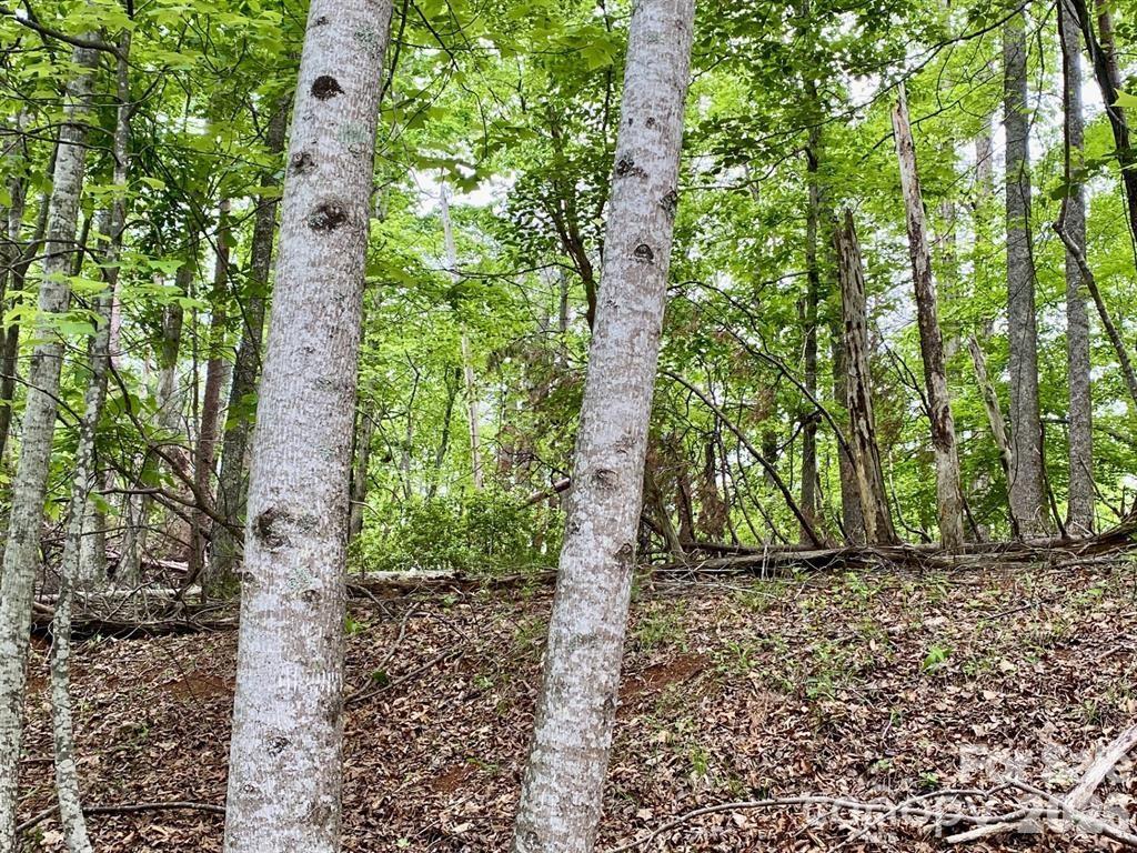 Lot 30 Granny Smith Ln., Lake Lure, NC 28746