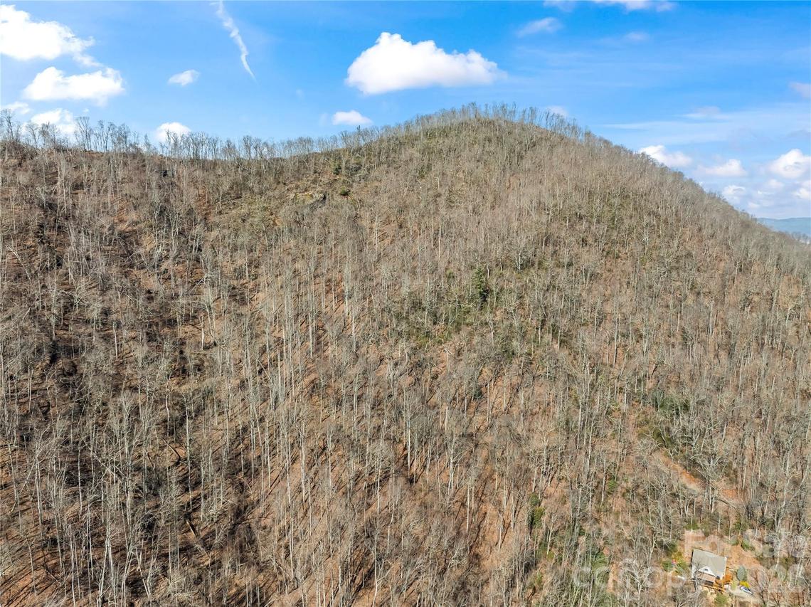 31 Reillys Bluff Rd. #2, Barnardsville, NC 28709