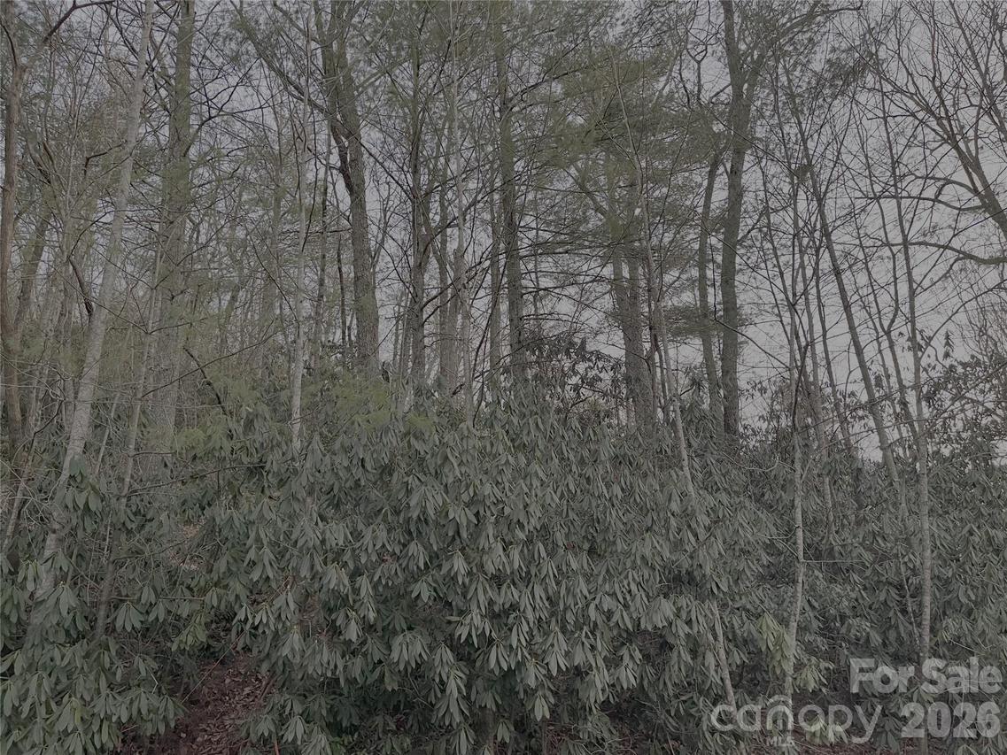 742 Zelda Ct. #71, Hendersonville, NC 28792