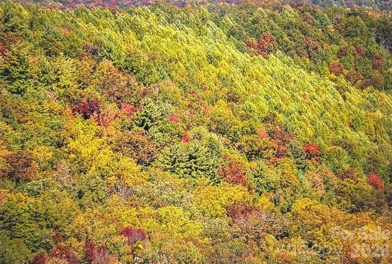 2 Highlands Point, Highlands, NC 28741