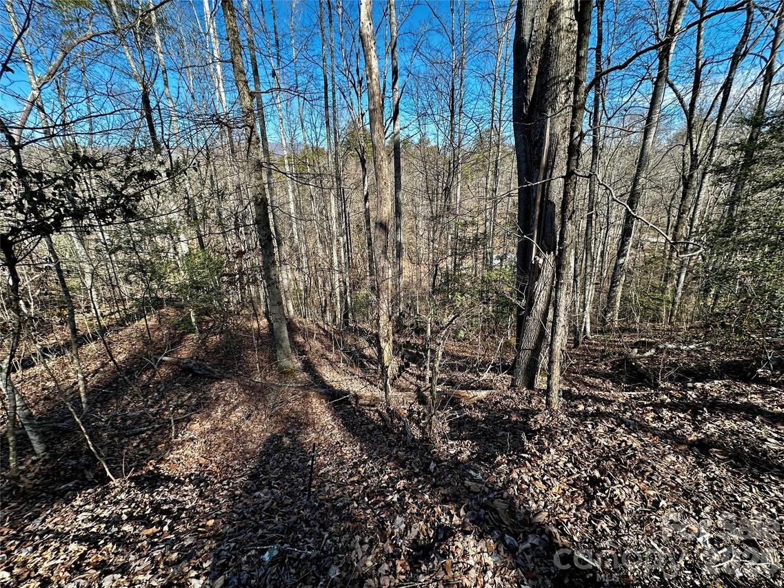 Lot 11 Blue Mist Mountain Rd., Whittier, NC 28789