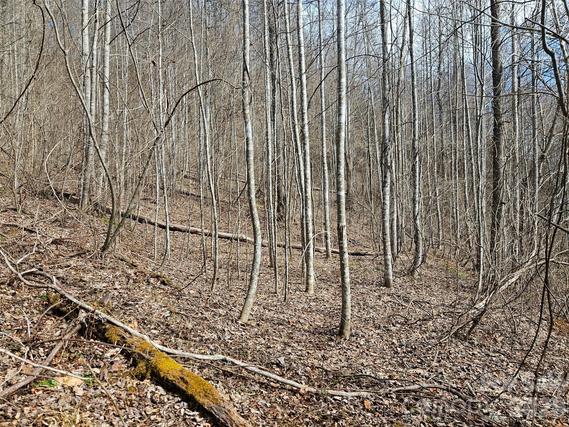 New Homes For Sale This Week That Attend Scotts Creek Elementary: February 13th to February 19th