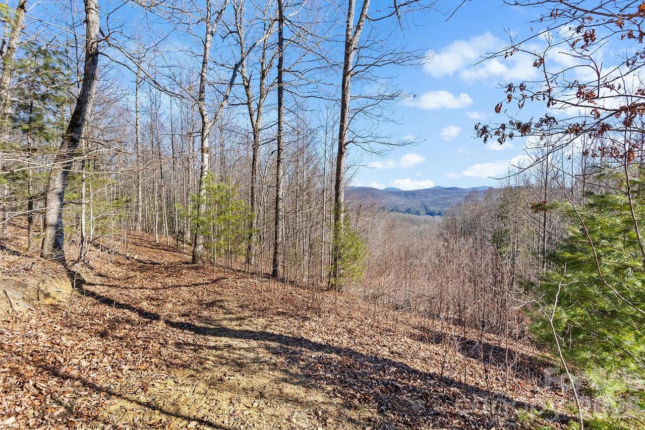 0000 Pinnacle Mountain Rd. #Lots 1,2,3,4, Zirconia, NC 28790