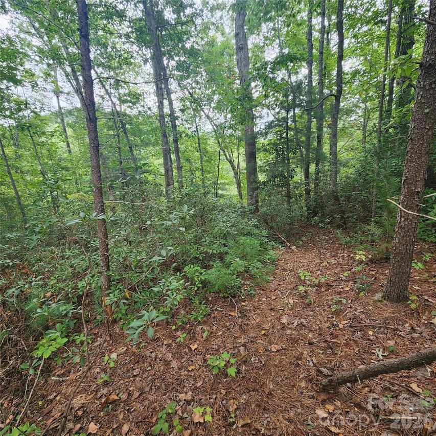 Lot 11 Waterside Dr., Lake Lure, NC 28746