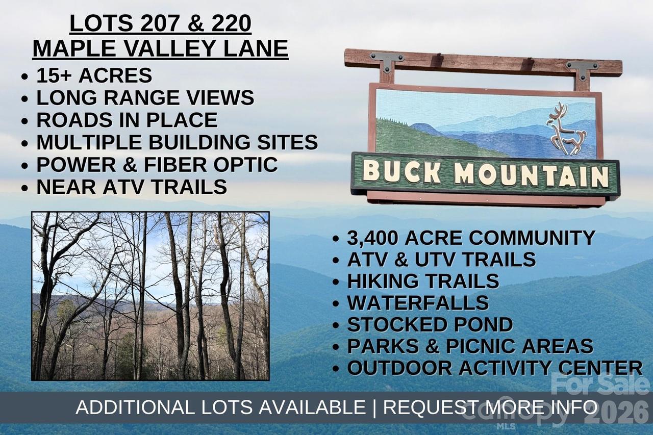 TBD Maple Valley Ln. #207 & 220, Purlear, NC 28665