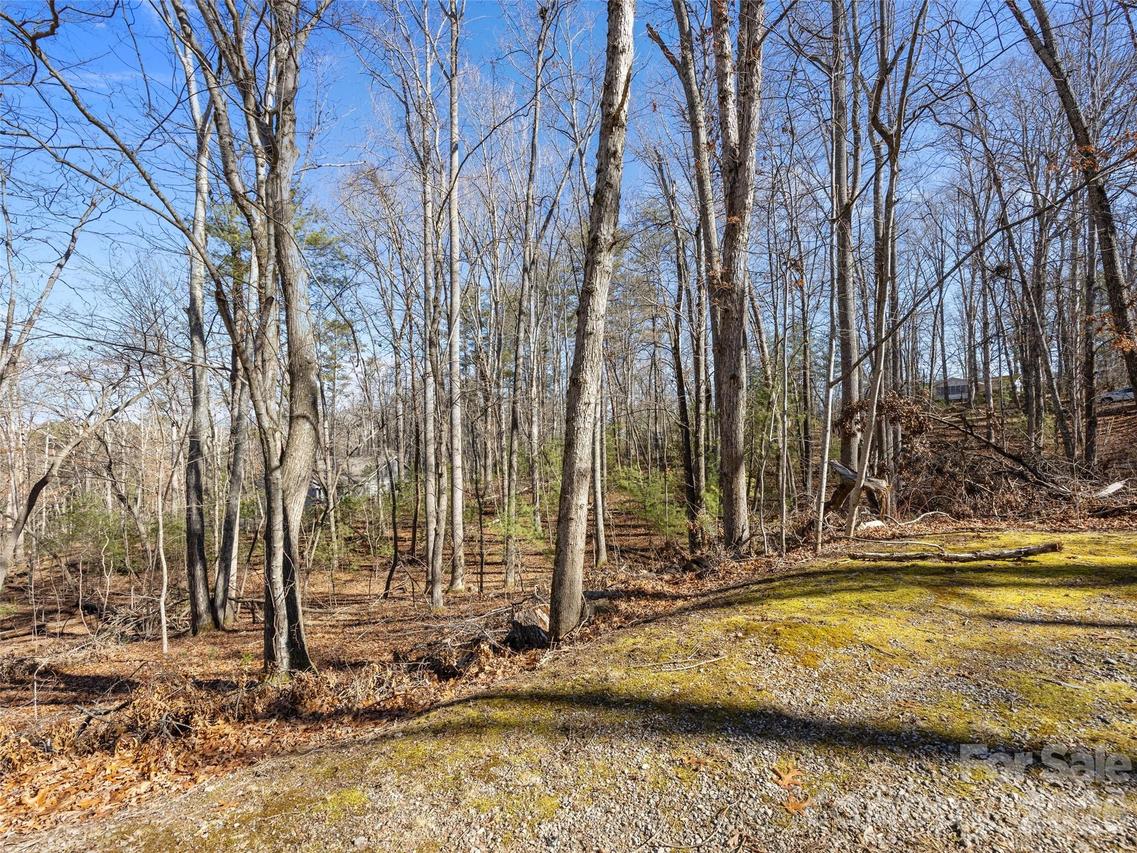 Lot 7 Mountain Heritage Pl., Candler, NC 28715