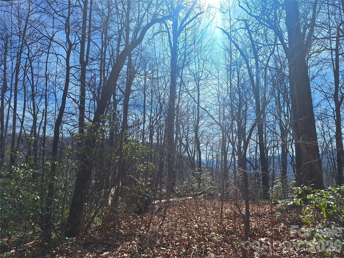 965 Wolf Pen Rd., Old Fort, NC 28762