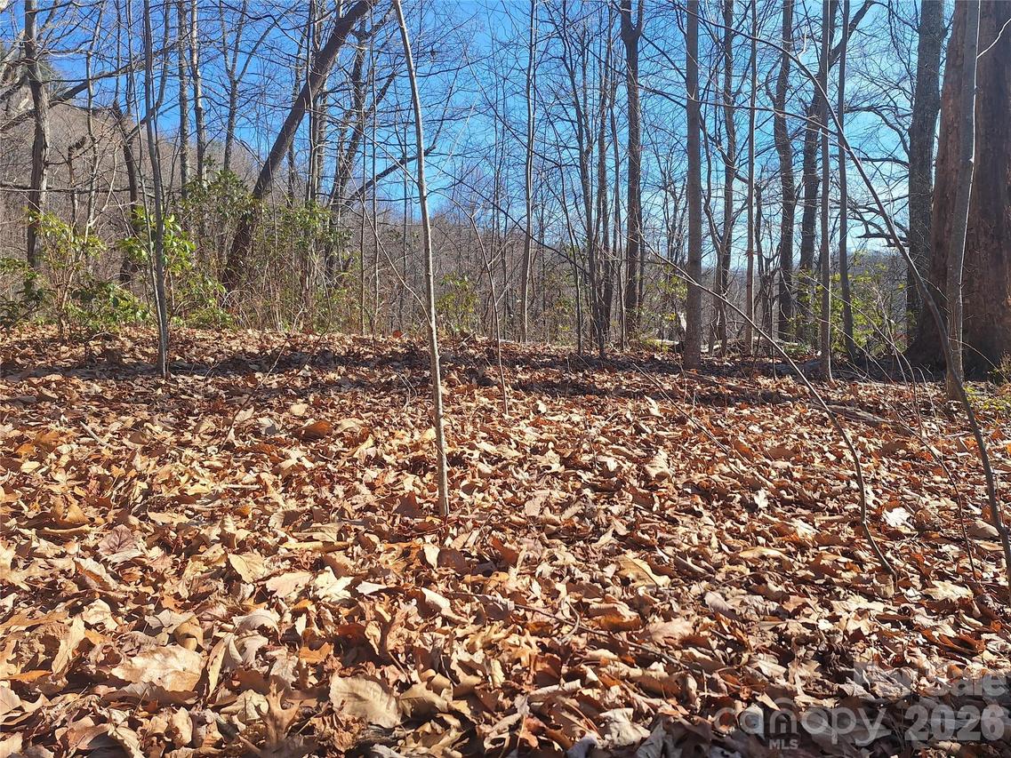 965 Wolf Pen Rd., Old Fort, NC 28762