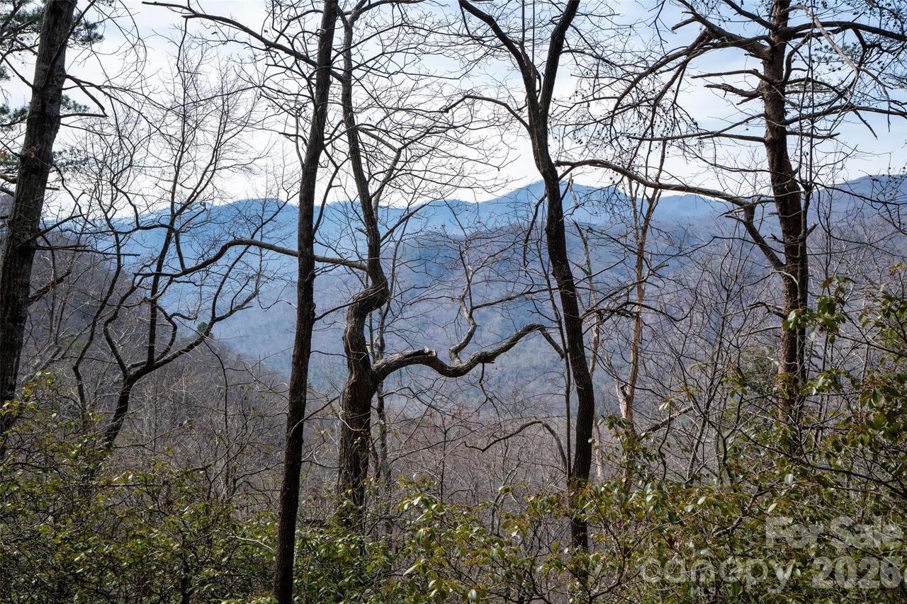 Rachel Ridge, Lake Lure, NC 28746