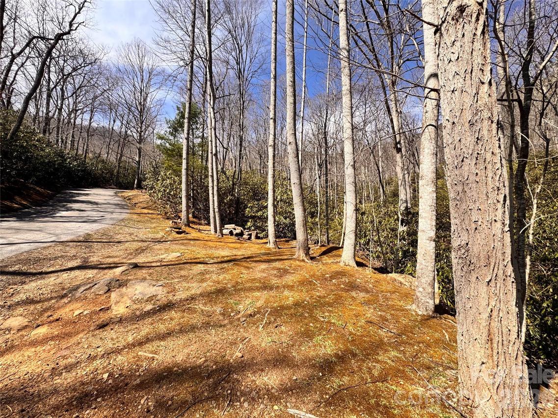 212 Harmony Ln. #1142, Montreat, NC 28757