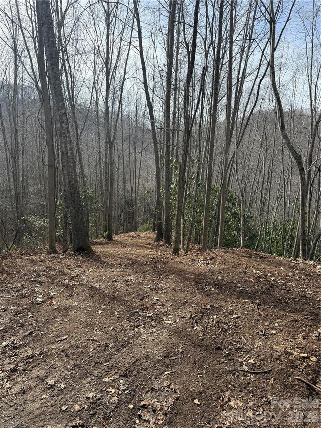 236 Down The Hill Rd., Sylva, NC 28779