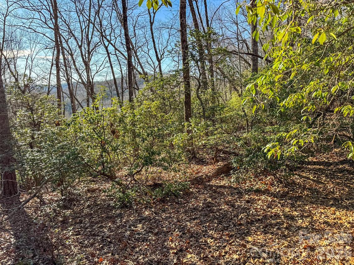 1647 Mills River Way, Horse Shoe, NC 28742