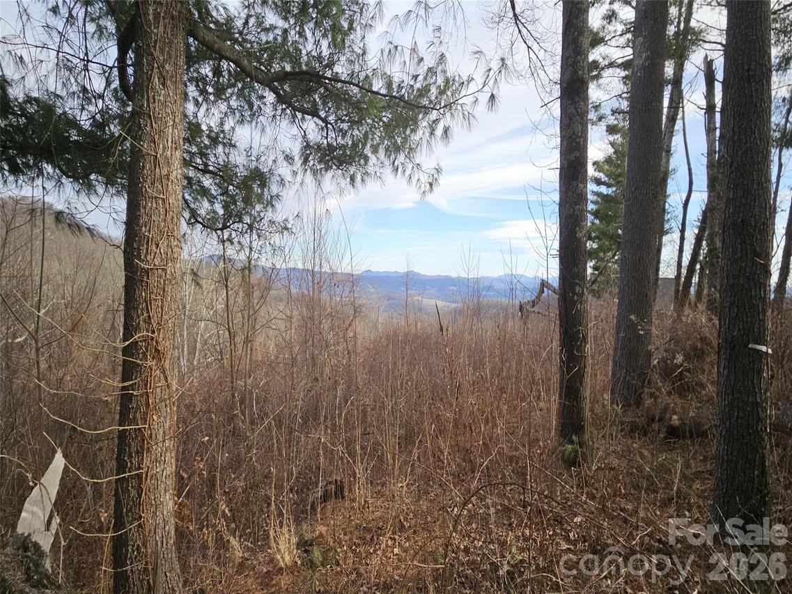 #178 Dancing Bear Dr., Hendersonville, NC 28792