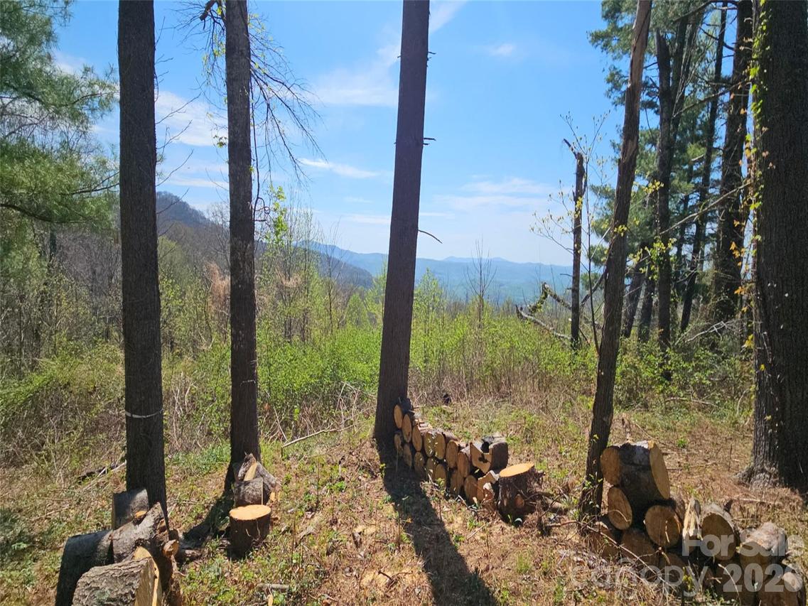 #178 Dancing Bear Dr., Hendersonville, NC 28792