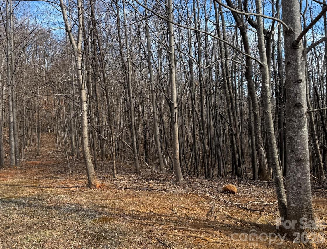 99999 Chesterfield Dr. #179, Mill Spring, NC 28756