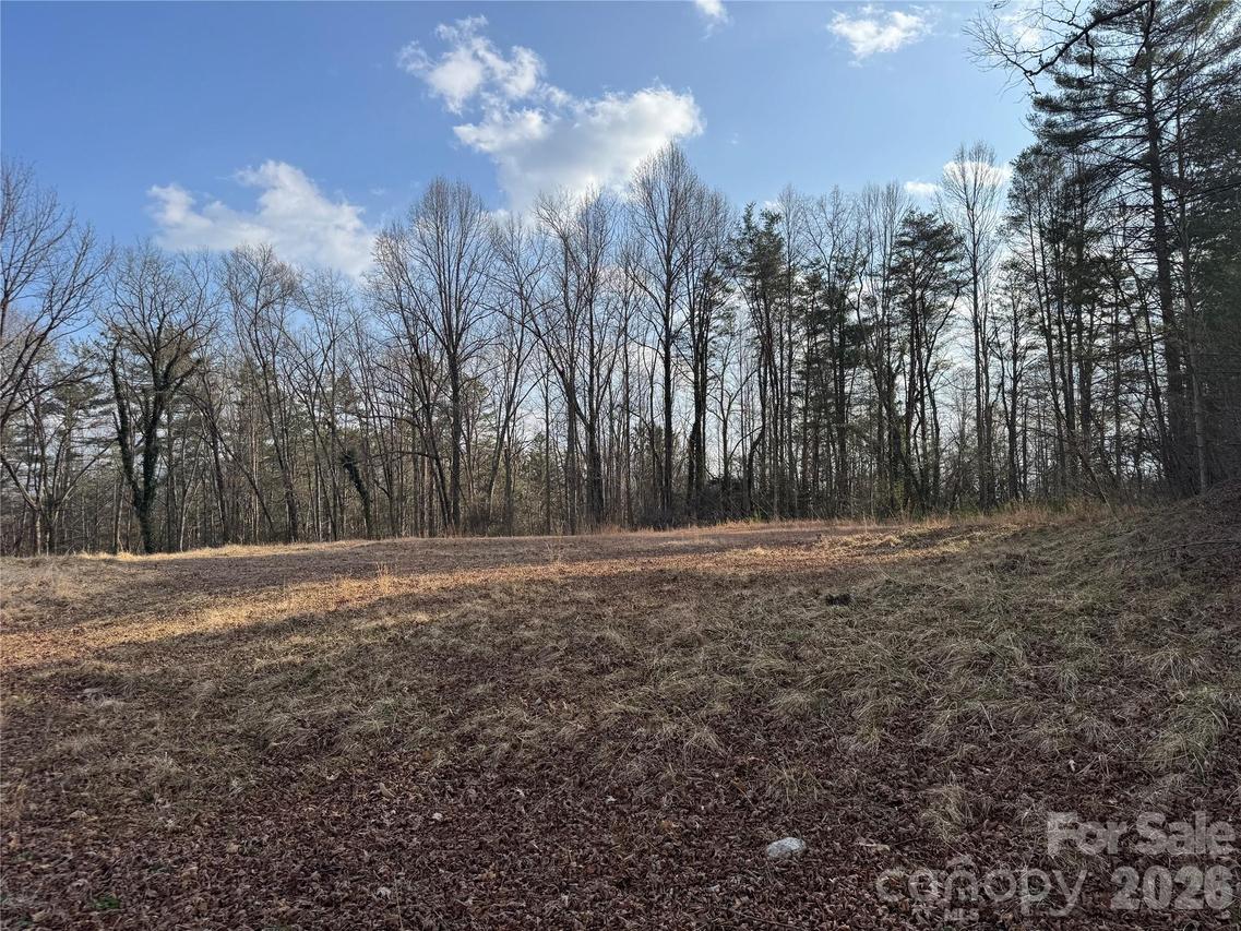 481 Fisher Rd., Brevard, NC 28712