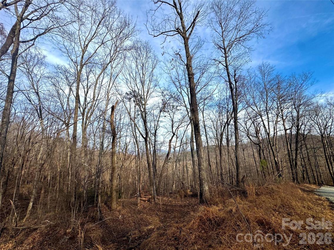 Peartree Dr., Lake Lure, NC 28746