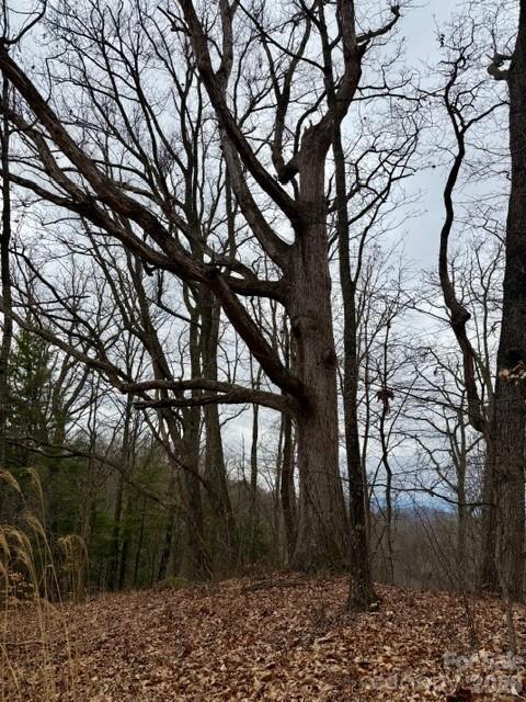 201 Glen Valley Dr., Weaverville, NC 28787