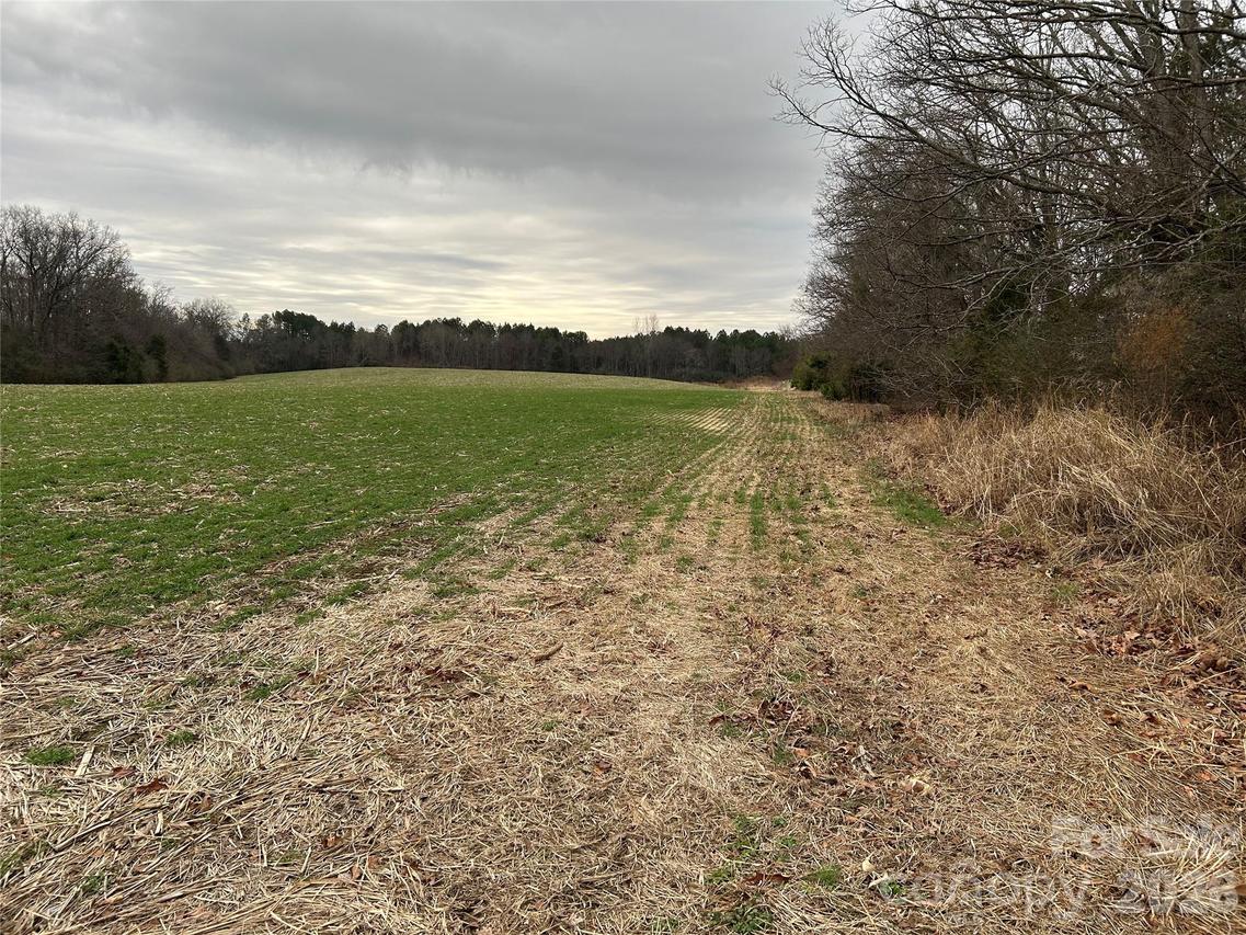 1440-2 Carl Taylor Rd., Peachland, NC 28133