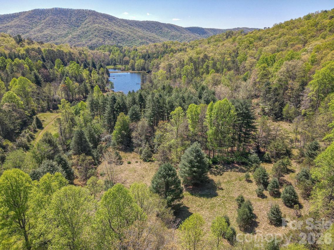 000 Davey Branch Rd., Horse Shoe, NC 28742