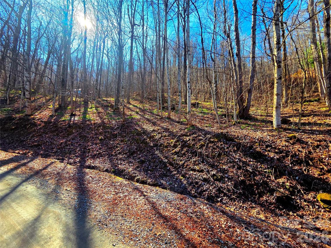 160 Slippery Rock Rd. #206, Waynesville, NC 28785