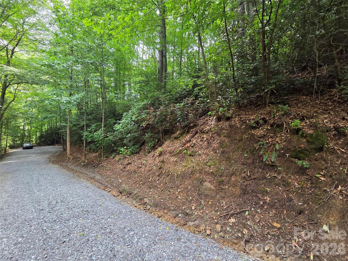 230 Serendipity Ln. #105, Waynesville, NC 28785